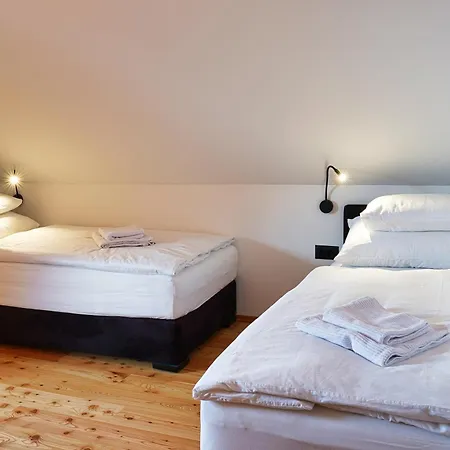 Alpine Retreat House Surc Дом отдыха *