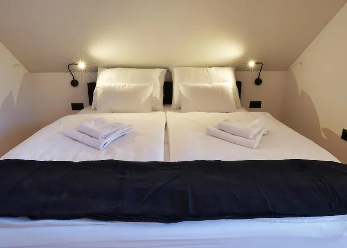 別荘 Alpine Retreat House Surc *